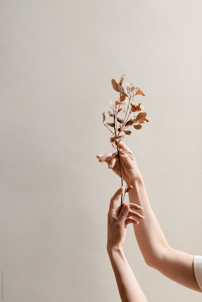 Heart Felt: 10 Questions To Ask Yourself Right Now