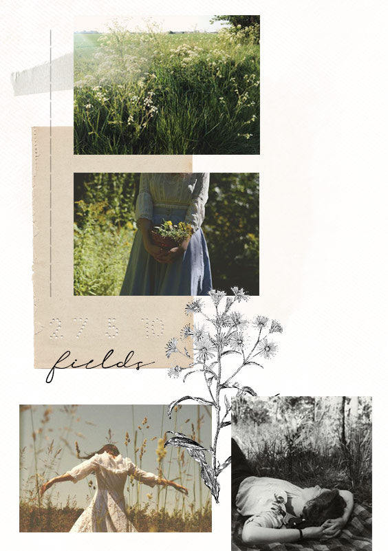 Fields & Meadows