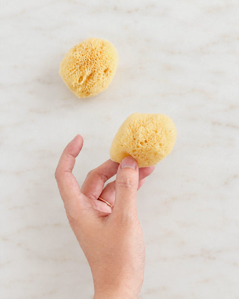 Facial Silk Sea Sponges