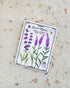 French Lavender Sheet Mask