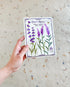 French Lavender Sheet Mask