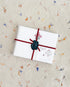 Poinsettia Stationery Set
