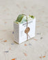 Rosemary Lemongrass Soap