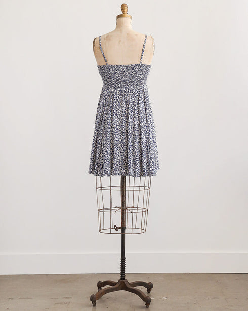 Blueberry Hill Dress