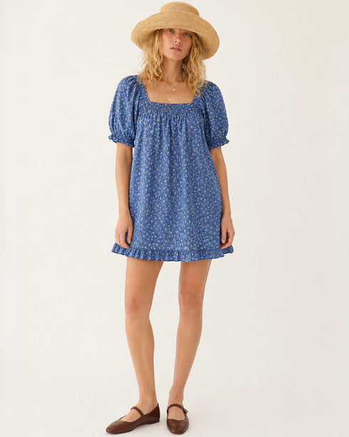 Dried Bluebonnets Dress