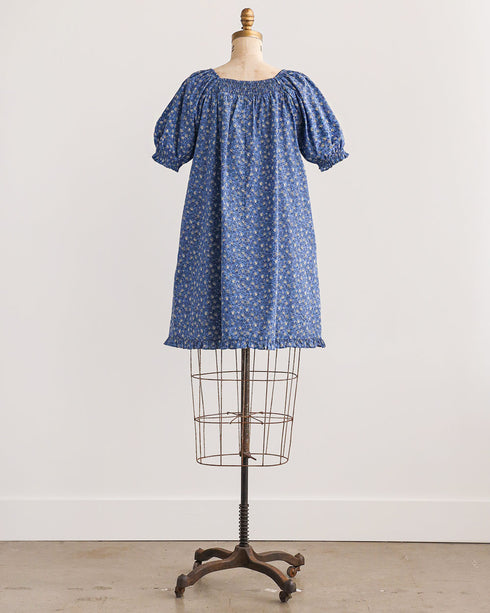 Dried Bluebonnets Dress