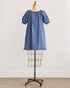 Dried Bluebonnets Dress