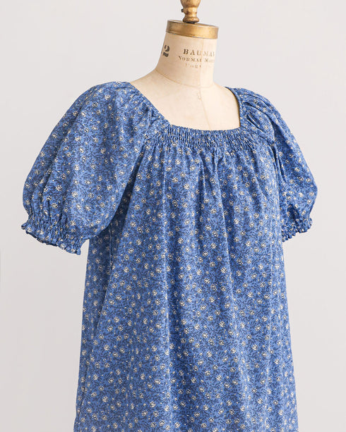 Dried Bluebonnets Dress