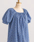Dried Bluebonnets Dress
